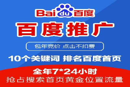 百度竞价排名案例分析：提升网站流量与转化率